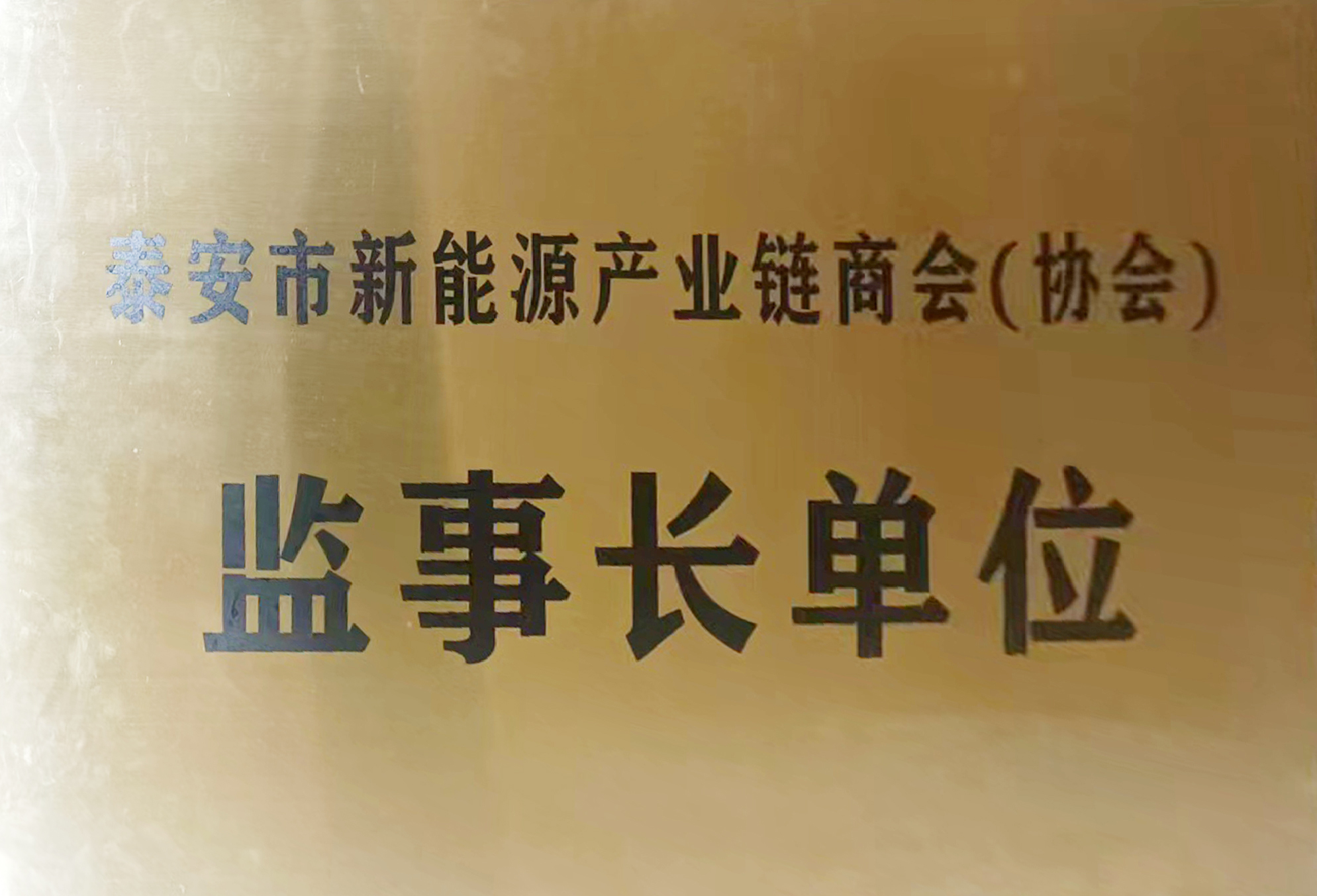 17.泰安市新能源產(chǎn)業(yè)鏈商會監(jiān)事長單位.jpg